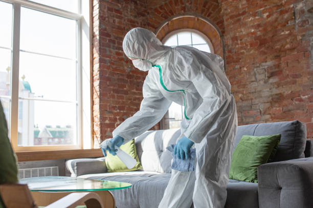 Best Mold Odor Removal Services  in Perris, CA