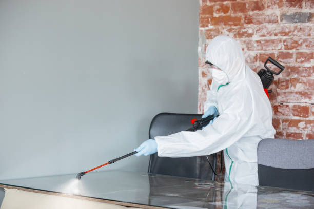 Best Comprehensive Air Testing for Mold Contaminants  in Perris, CA